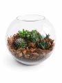 Эксклюзивный авторский флорариум Aqua-Tech Exclusive Florarium, FL002