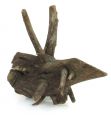 Коряга 0108